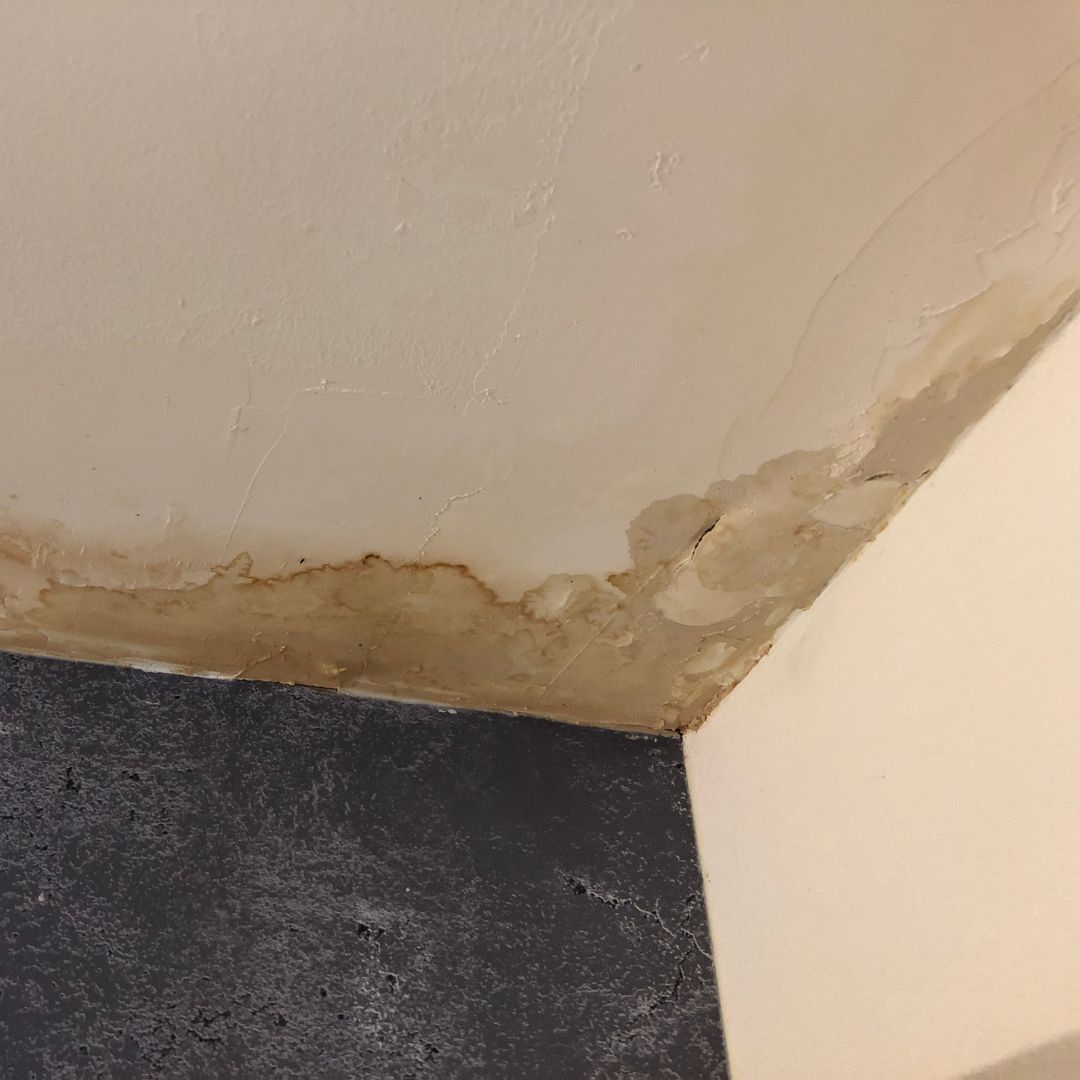 Damp ceiling after a leaking pipe