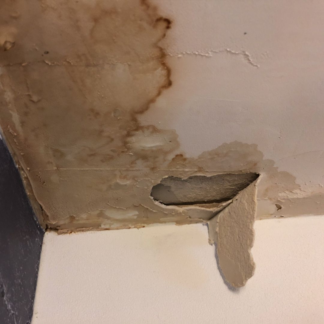 Ceiling plaster peeling after a leak